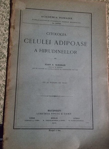 Ioan A. Scriban - Citologia celulei adipoase a hirudineelor