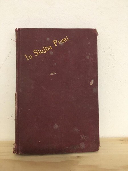 Ioan Al. Bratescu-Voinesti - In Slujba Pacei (scrisori)
