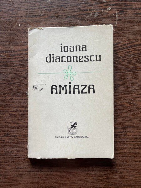 Ioana Diaconescu - Amiaza