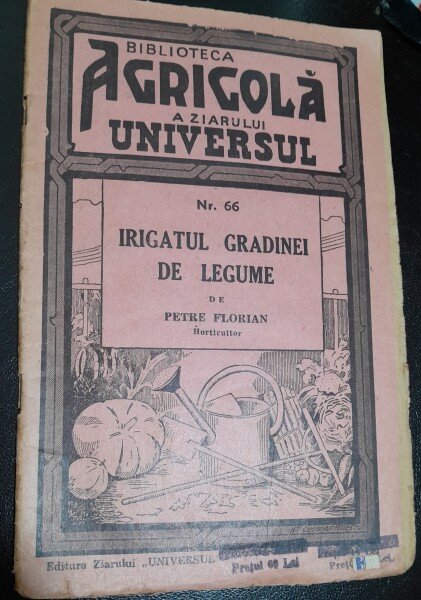 Irigatul gradinii de legume - Petre Florian