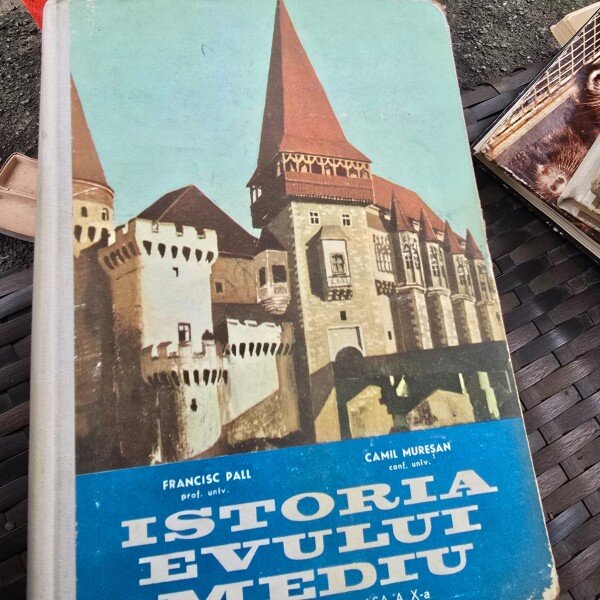 Istoria Evului Mediu. manual pentru clasa a X-a - Francisc Pall, Camil Muresan