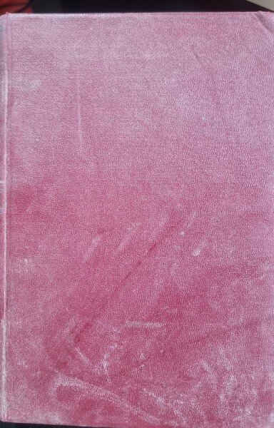 Istoria romanilor. Vol.V Vitejii - N. Iorga