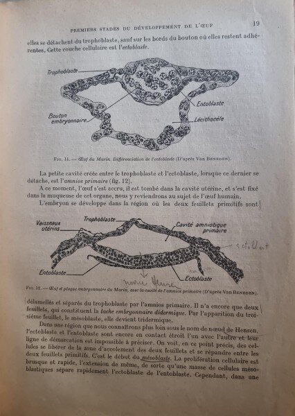 Lecons d'embryologie humaine avec notions elementaires sur les principales malformations congenitales - G Dubreuil (cu dedicatia doctorului profesor George Severeanu pentru nepotul Milcoveanu)