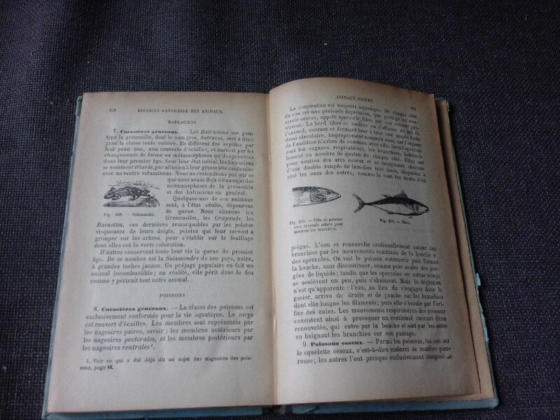LES ANIMAUX, ELEMENTS D'HISTOIRE NATURELLE - J. HENRI FABRE  (CARTE IN LIMBA FRANCEZA)