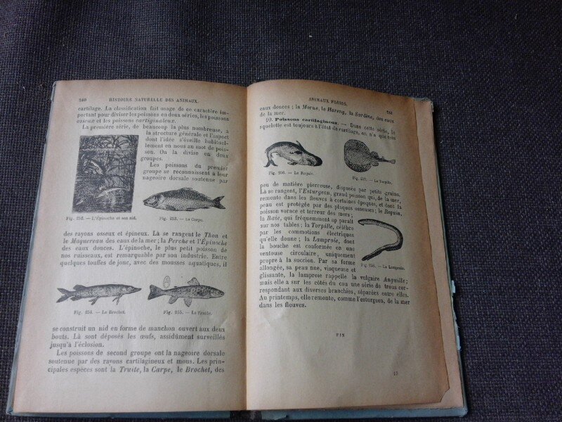 LES ANIMAUX, ELEMENTS D'HISTOIRE NATURELLE - J. HENRI FABRE  (CARTE IN LIMBA FRANCEZA)