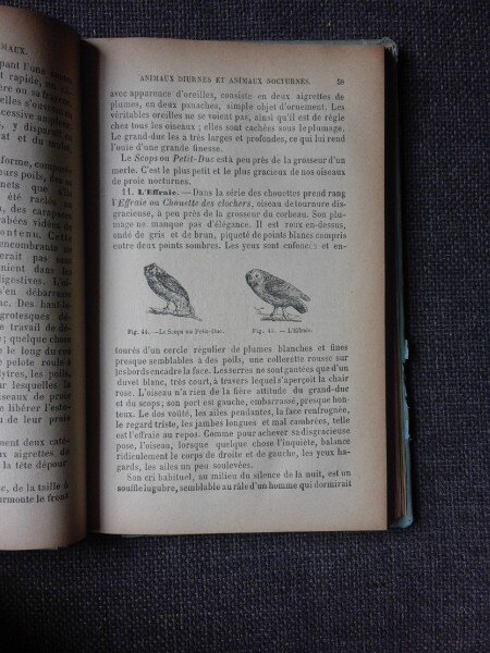 LES ANIMAUX, ELEMENTS D'HISTOIRE NATURELLE - J. HENRI FABRE  (CARTE IN LIMBA FRANCEZA)