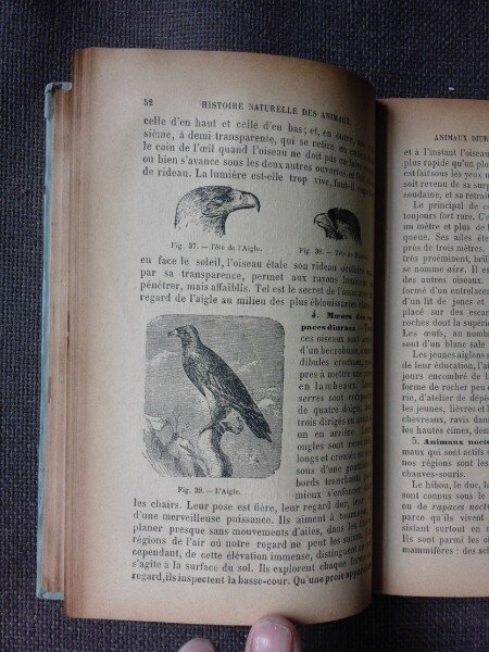 LES ANIMAUX, ELEMENTS D'HISTOIRE NATURELLE - J. HENRI FABRE  (CARTE IN LIMBA FRANCEZA)
