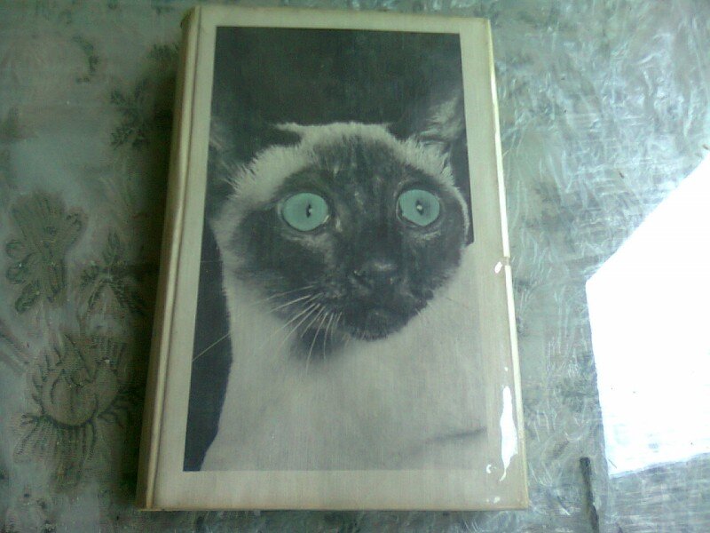 LES CHATS DANS LE BEFFROY - DOREEN TOVEY  (CARTE IN LIMBA FRANCEZA)