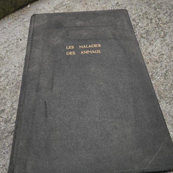 Les maladies des animaux, transmissibles a l homme - L. Panisset