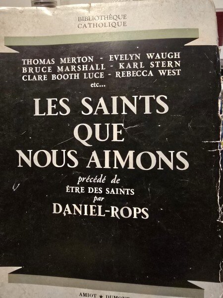 Les Saints que nous aimons - Collectif