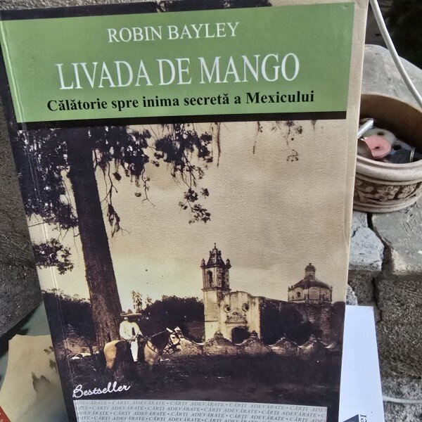 Livada de mango. Calatorie spre inima - Robin Bayley