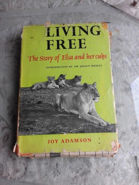 LIVING FREE, THE STORY OF ELSA AND HERCUBS - JOY ADAMSON  (CARTE IN LIMBA ENGLEZA)