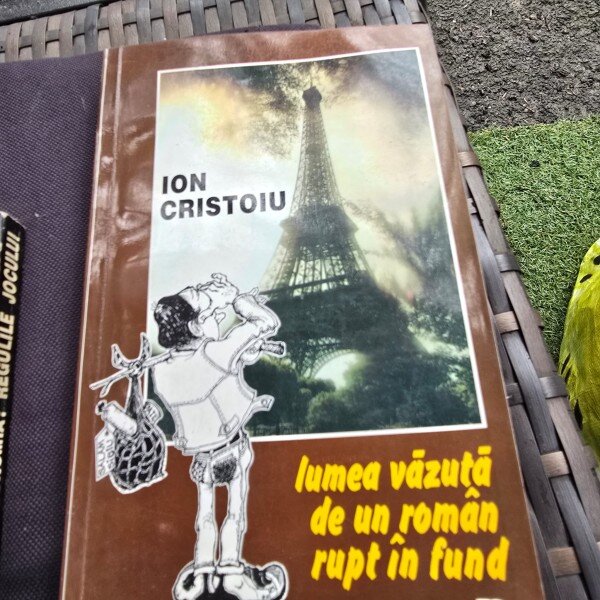 LUMEA VAZUTA DE UN ROMAN RUPT IN FUND , ION CRISTOIU