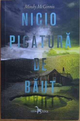 Mindy McGinnis - Nicio Picatura de Baut