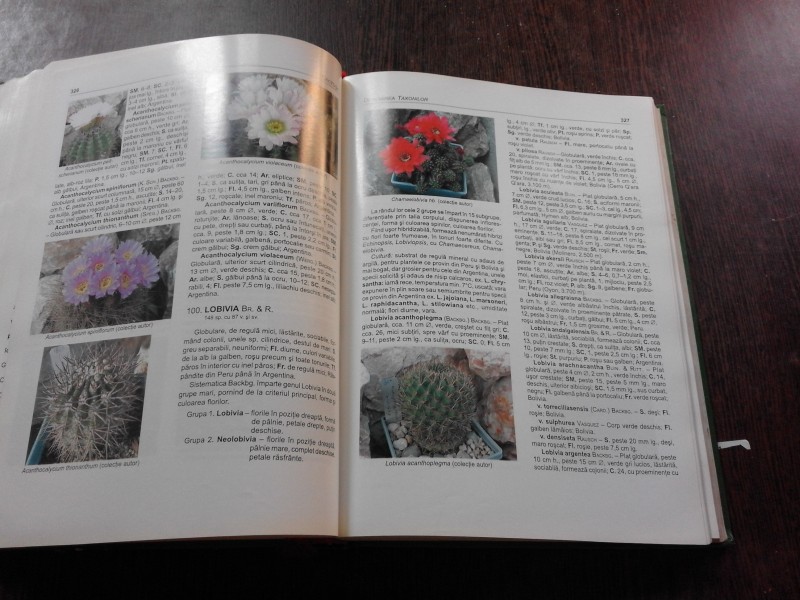 MONOGRAFIE CACTUSII - SORIN VICTOR COPACESCU