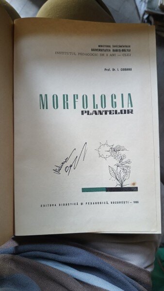 Morfologia plantelor - Ciobanu I
