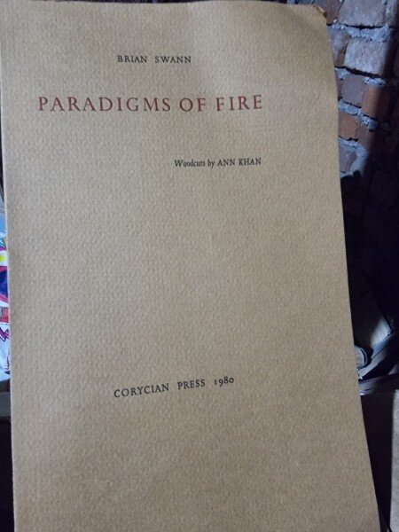 Paradigms of fire - Brian Swann