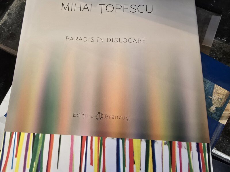 Paradis in dislocare, Mihai Topescu