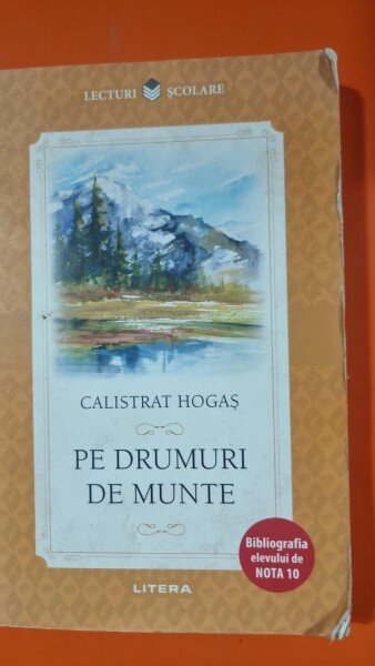 PE DRUMURI DE MUNTE - CALISTRAT HOGAS