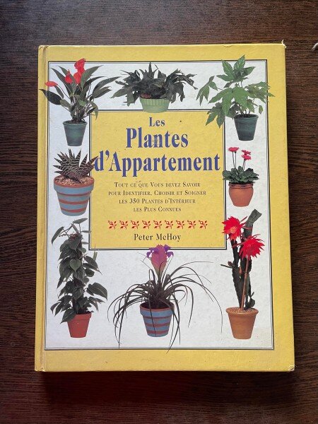 Peter McHoy Les Plantes d Appartement