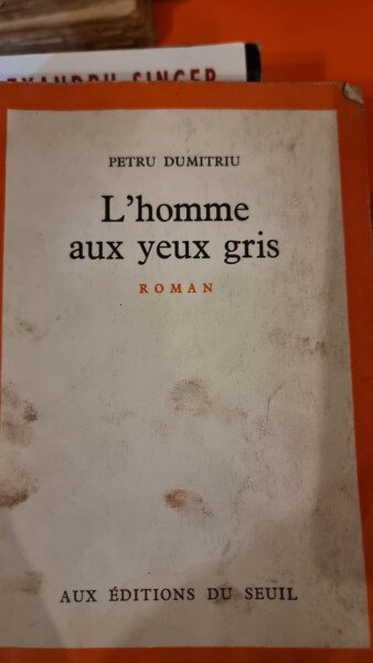 Petru Dumitru - L Homme aux Yeux Gris
