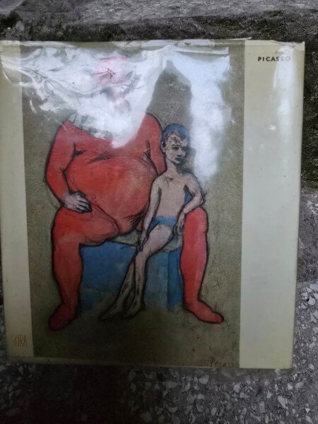 Picasso - Skira