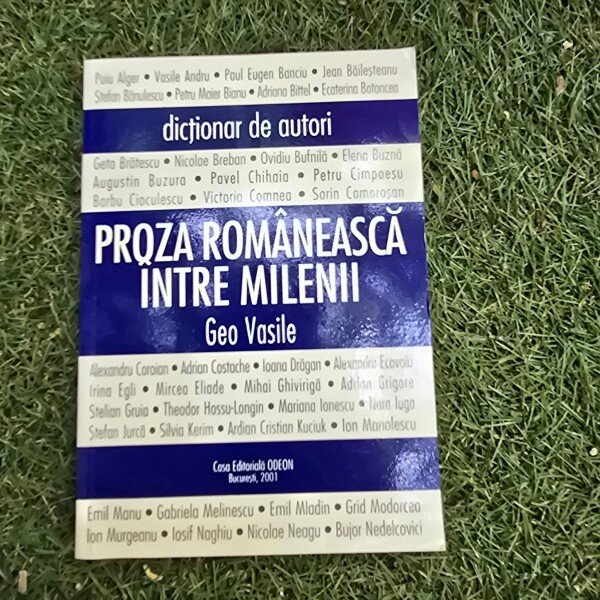 Proza romaneasca intre milenii - Geo Vasile Dictionar de autori