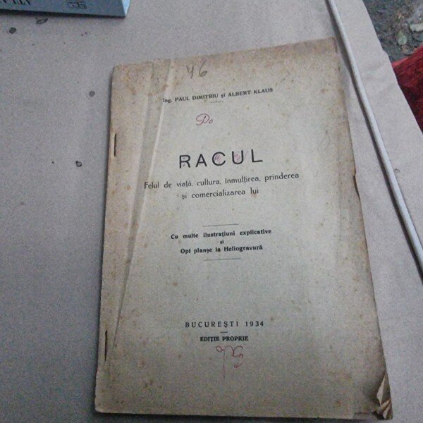 RACUL, FELUL DE VIATA, CULTURA, INMULTIREA, PRINDEREA SI COMERCIALIZAREA LUI de G.P. DIMITRIU SI ALBERT KLAUS, AFARA DE TEXT, LIPSA COPERTA BROSATA ORIGINALA  40 de lei