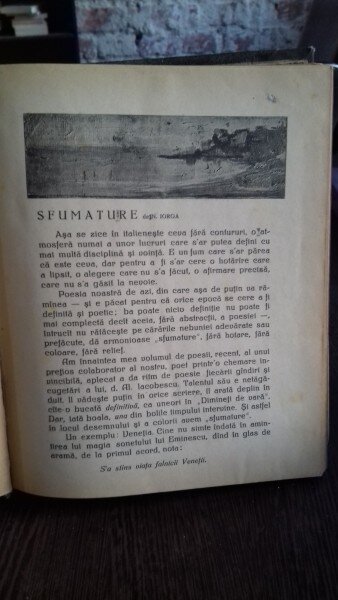 RAMURI - Drum drept, revista literara1924 - DIRECTOR N. IORGA