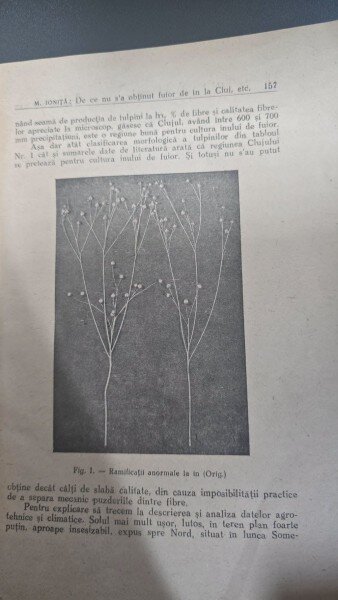 Revista Agricultura, nr 10-11-12 - octombrie, noiembrie, decembrie 1947