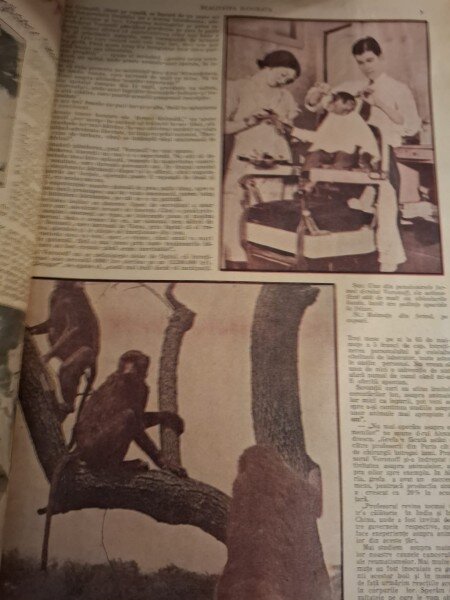 Revista Realitatea Ilustrată Anul V Nr.224 14 Mai 1931 - pe coperta Regele Carol II si D.Nicolae Iorga,primul ministru la Timisoara (Foto-Iosif Berman)