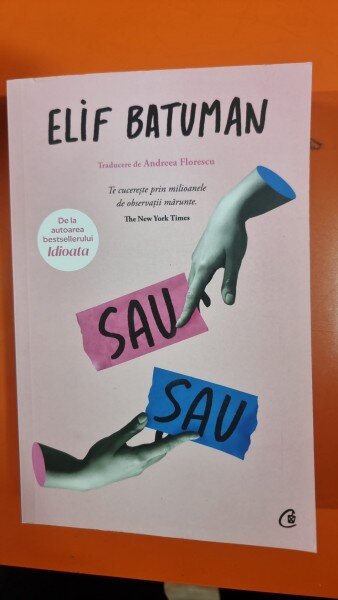 Sau, Sau - Elif Batuman