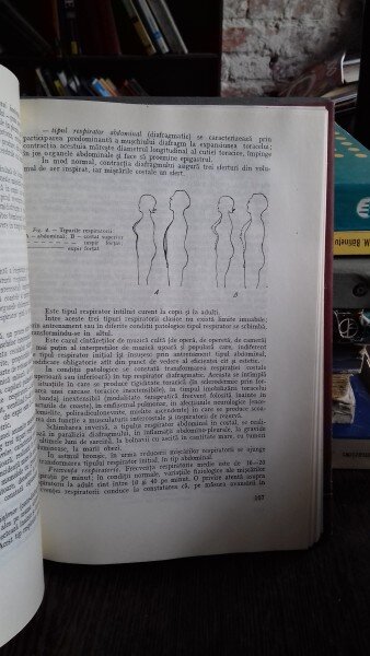 Semiologie anatomoclinica biochimica fiziopatologica - Emil A. Popescu