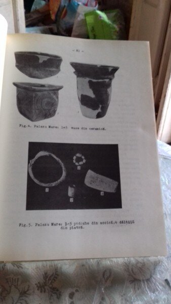 SESIUNEA DE COMUNICARI STIINTIFICE A MUZEELOR DE ISTORIE DECEMBRIE 1964  VOL.I