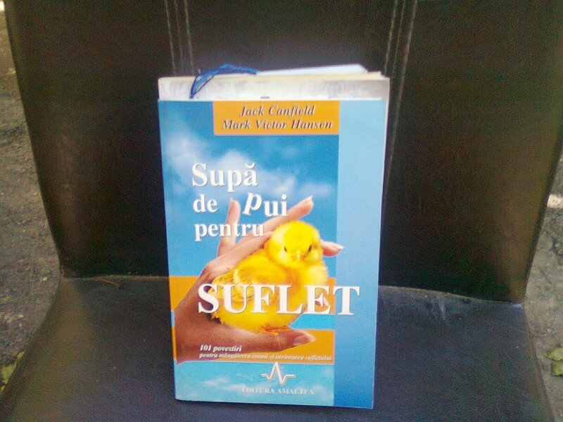 SUPA DE PUI PENTRU SUFLET -  101  povestiri pentru mangaierea inimii si inviorarea sufletului,JACK CANFIELD