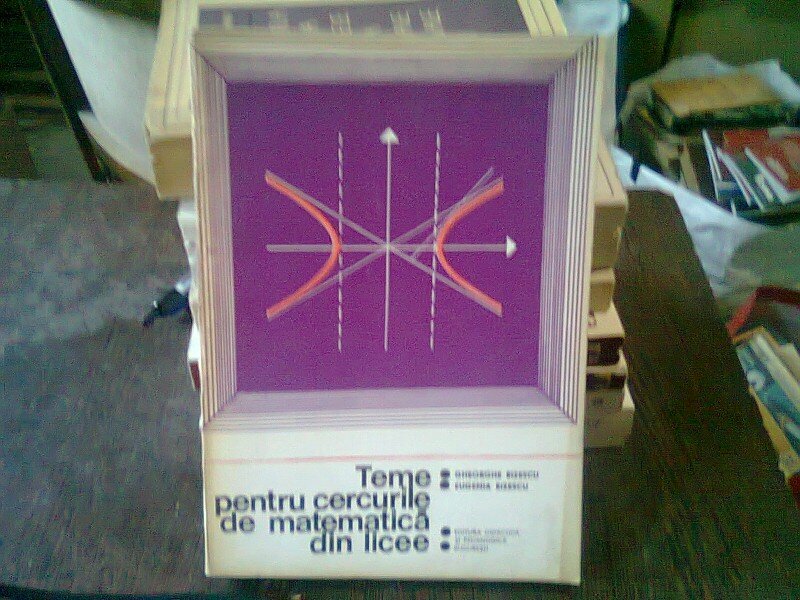 TEME PENTRU CERCURILE DE MATEMATICA DIN LICEE - GHEORGHE RIZESCU vol II