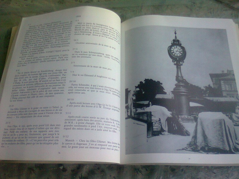 TERRE ETRANGERE. ARTHUR SCHNITZLER. UN GUIDE POUR VIENNE - NIKE WAGNER  (CARTE IN LIMBA FRANCEZA)