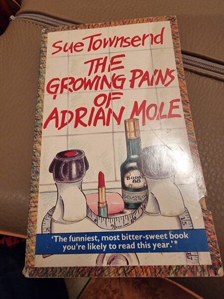 The Growing Pains of Adrian Mole - Sue Townsend