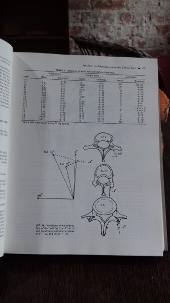 THORACOLUMBAR SPINE FRACTURES - YIZHAR FLOMAN