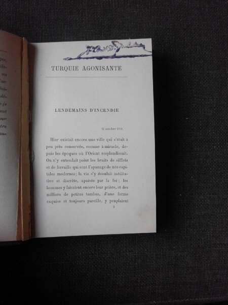 Turquie agonisante - Pierre Loti  (carte in limba franceza)