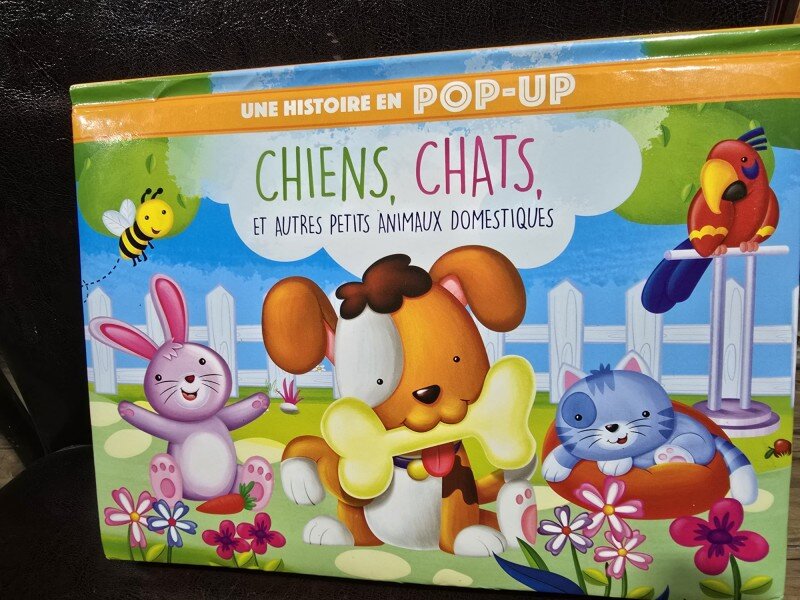 Une histoire en pop-up chiens, chats et autres animaux domestiques (O poveste pup-up despre caini, pisici si alte animale de companie - carte in limba franceza)