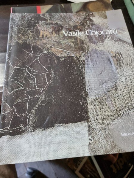 Vasile Cojocaru