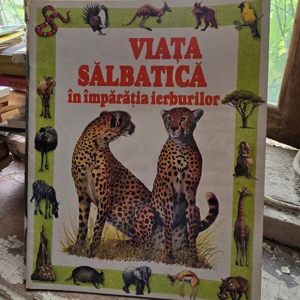 VIATA SALBATICA IN IMPARATIA IERBURILOR