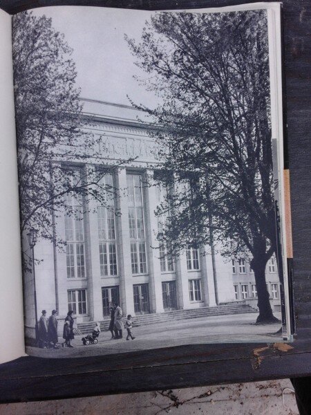 WELLE AUF WELLE, FOTOGRAFII DE VON MAX ITTENBACH  (TEXT IN LIMBA GERMANA, CARTE FOTOGRAFIE)