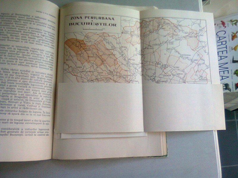 ZONA PERIURBANA A BUCURESTILOR - ION IORDAN