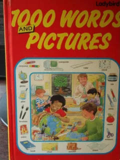 1000 WORDS AND PICTURES