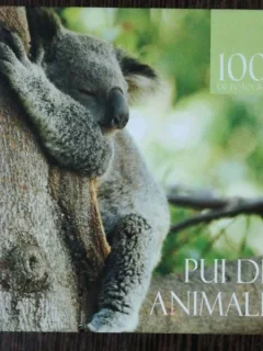1001 DE FOTOGRAFII -PUI DE ANIMALE