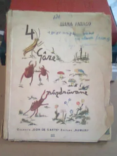 4 GAZE NAZDRAVANE - ELENA FARAGO