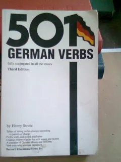 501 GERMAN VERBS - HENRY STRUTZ