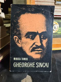 Gheorghe Șincai,Mircea Tomus